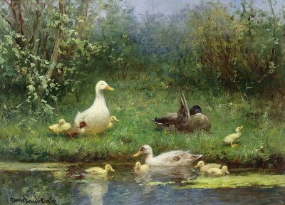 Anatre su una riva del fiume da David Adolph Constant Artz